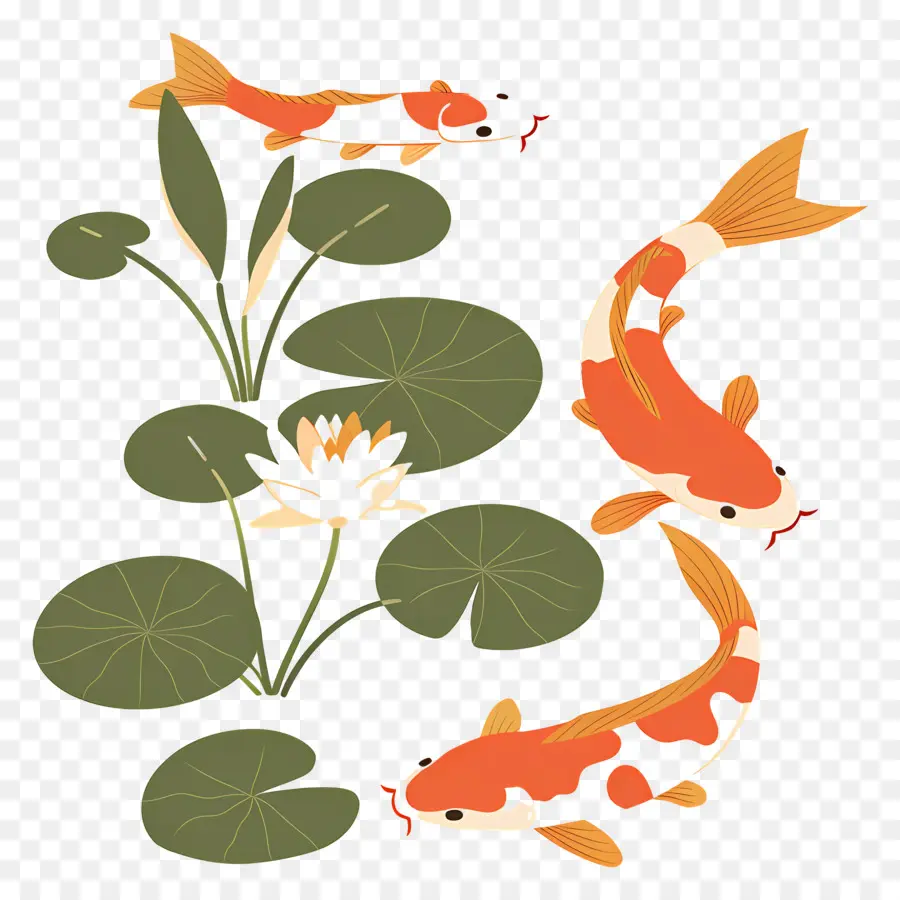 Peixe Koi，Quatro Peixes Koi Com Lírios PNG