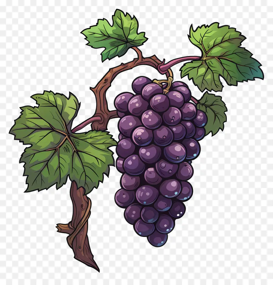 Uvas，Uvas Roxas PNG