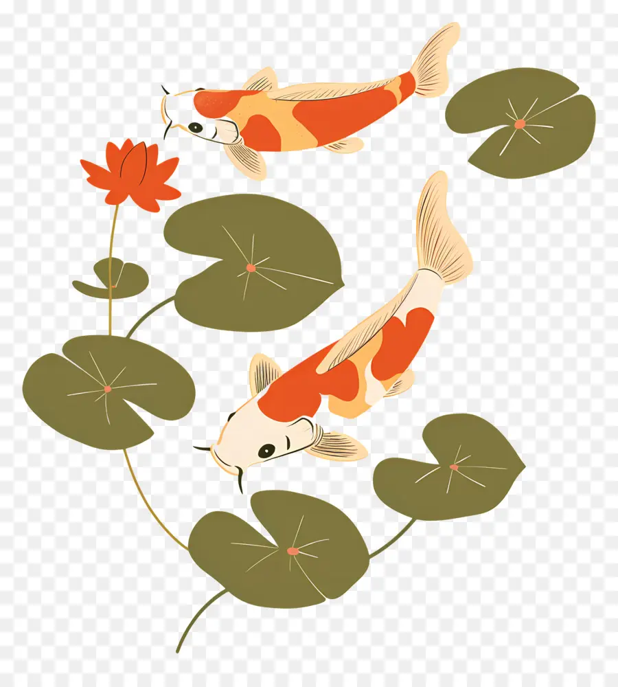 Peixe Koi，Quatro Peixes Koi Com Lírios PNG