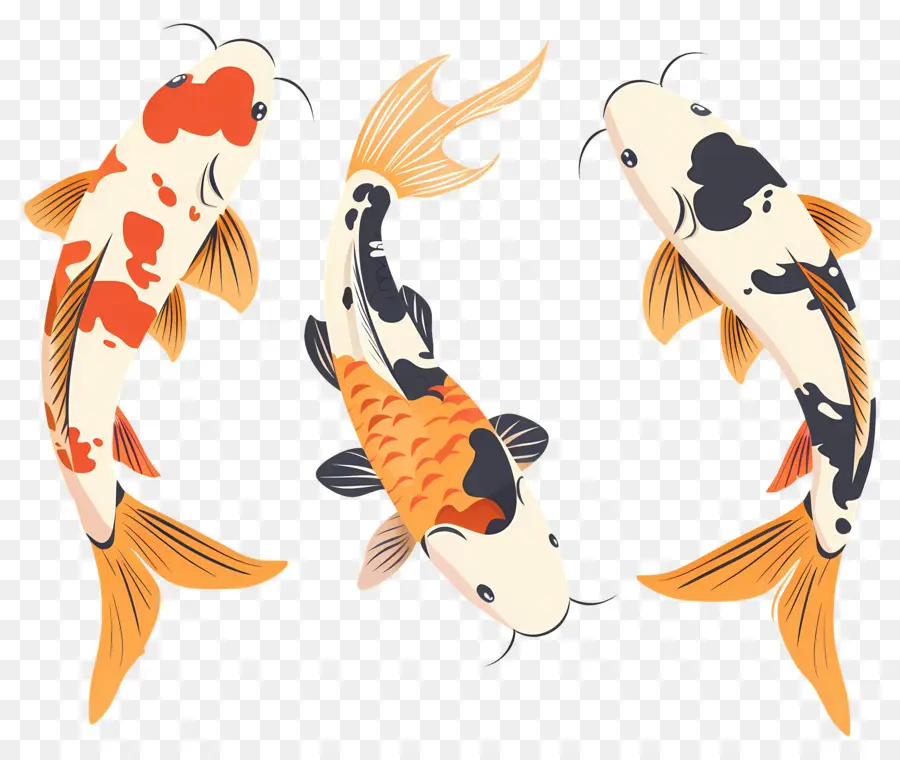 Peixe Koi，Três Peixes Koi Detalhados PNG