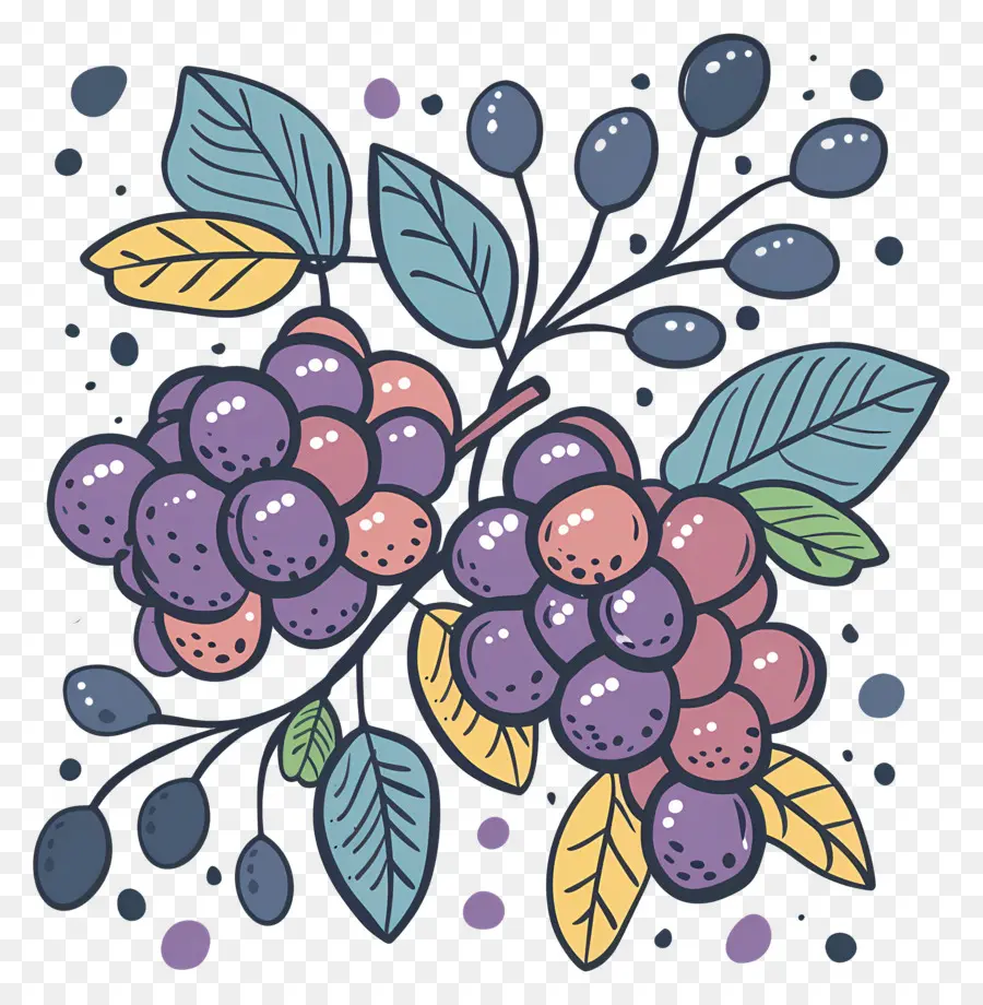 Uvas，Uvas Artísticas PNG