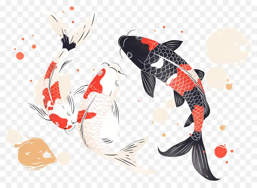 Peixe Koi，Três Peixes Koi Detalhados PNG