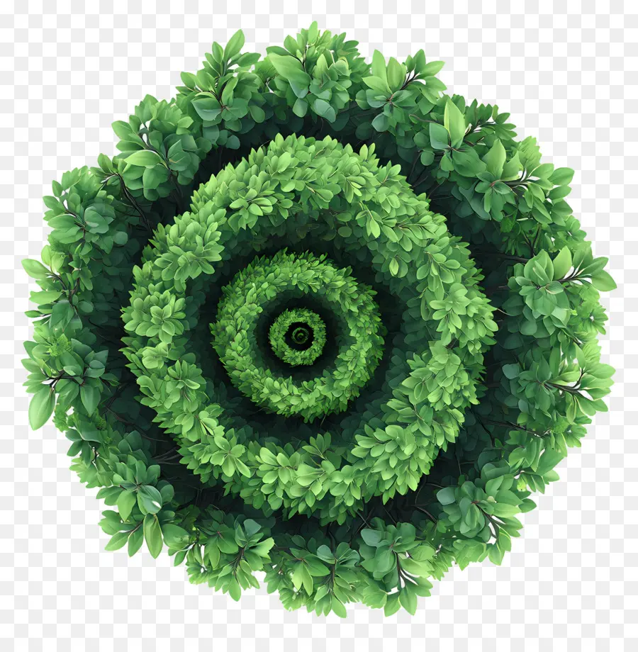 Plano De árvore，Espiral Verde PNG