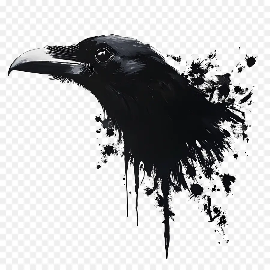 Corvo Do Dia Das Bruxas，Cabeça De Corvo PNG