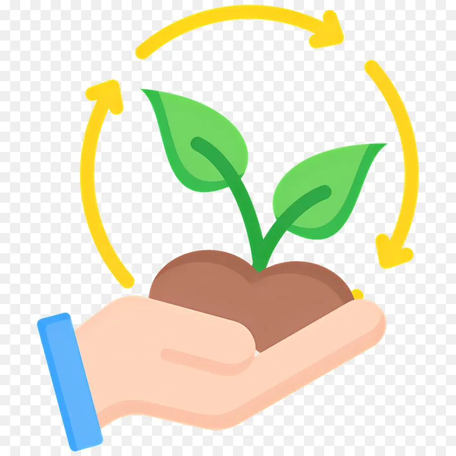 Sustentabilidade，Planta De Segurar As Mãos PNG