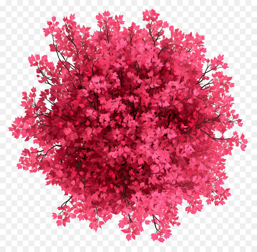 Plano De árvore，Flores Cor De Rosa PNG