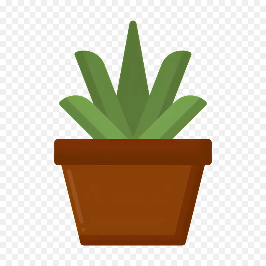 Aloe Vera，Aloe Vera Em Vaso PNG