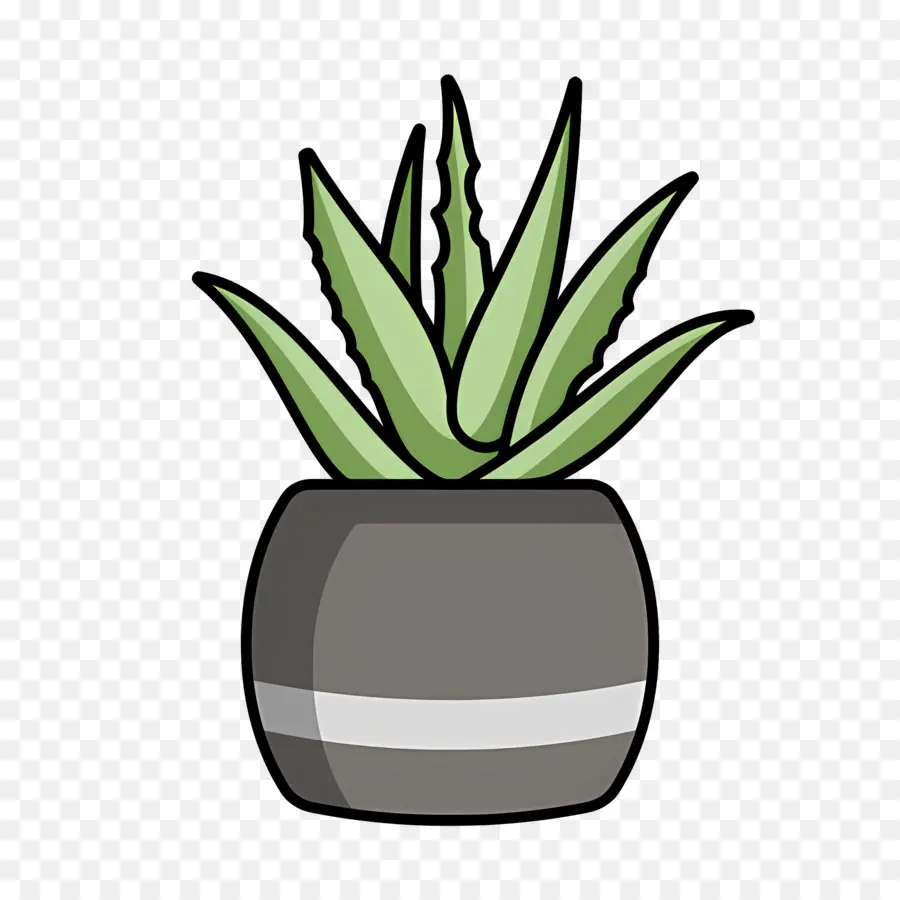 Aloe Vera，Planta Em Vaso PNG