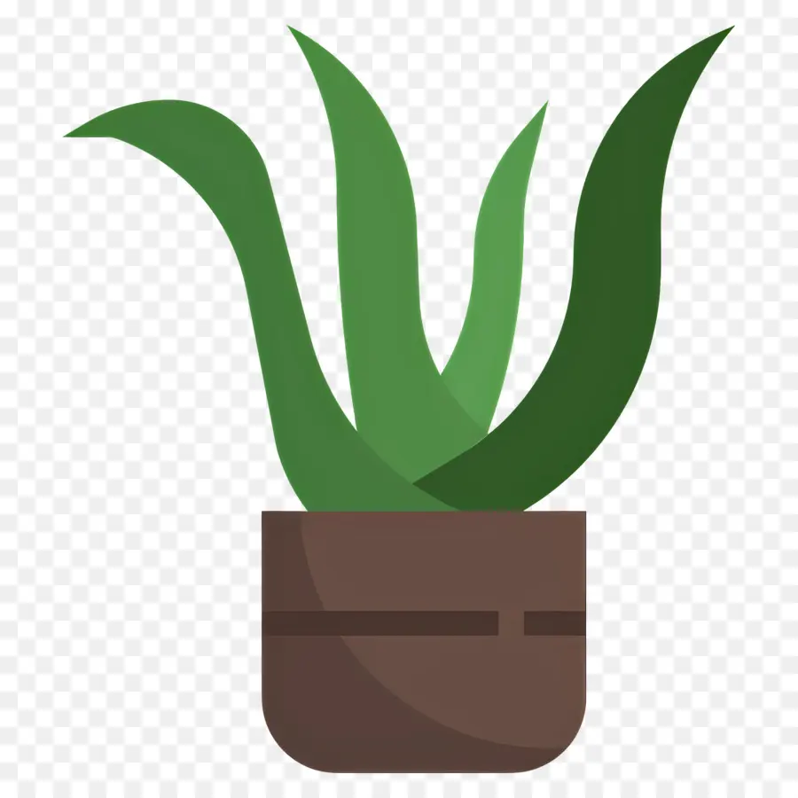 Aloe Vera，Aloe Vera Em Vaso PNG