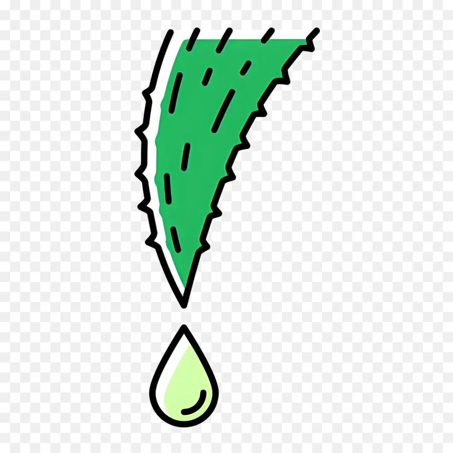 Aloe Vera，Folha PNG