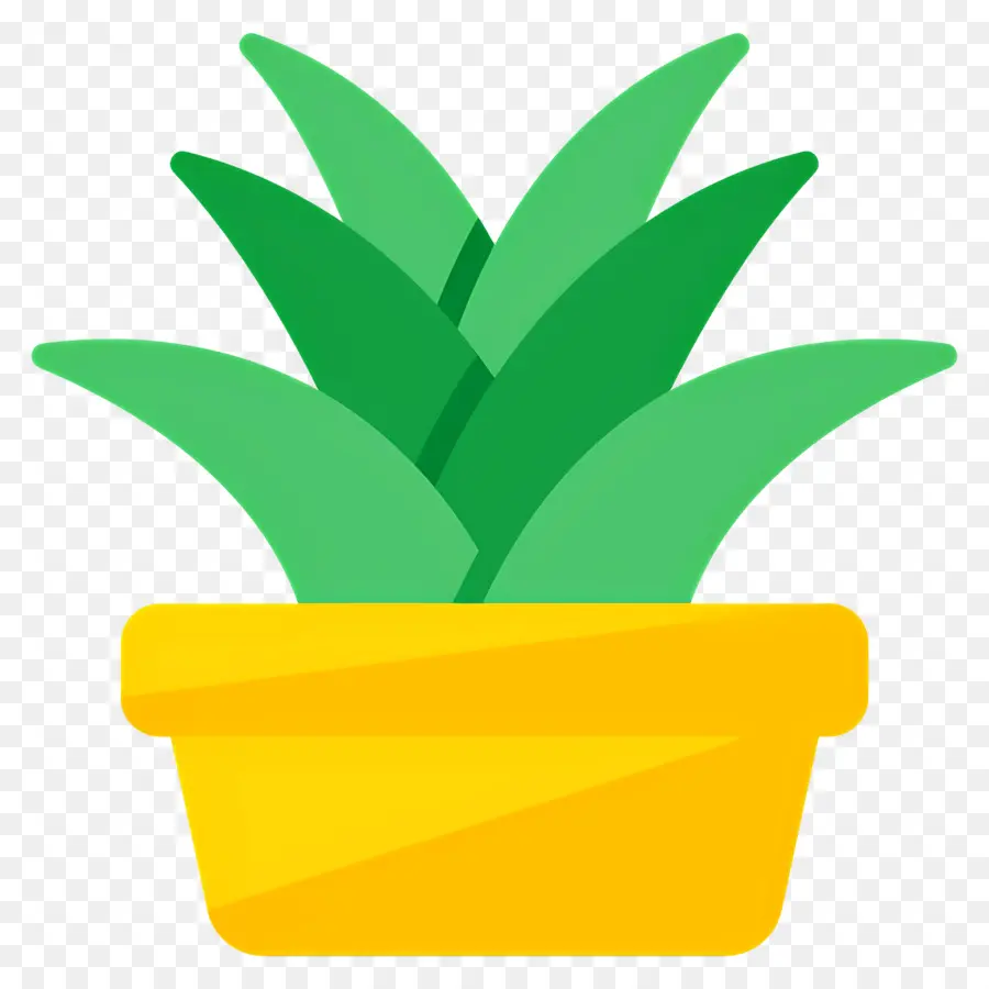 Aloe Vera，Planta Verde PNG