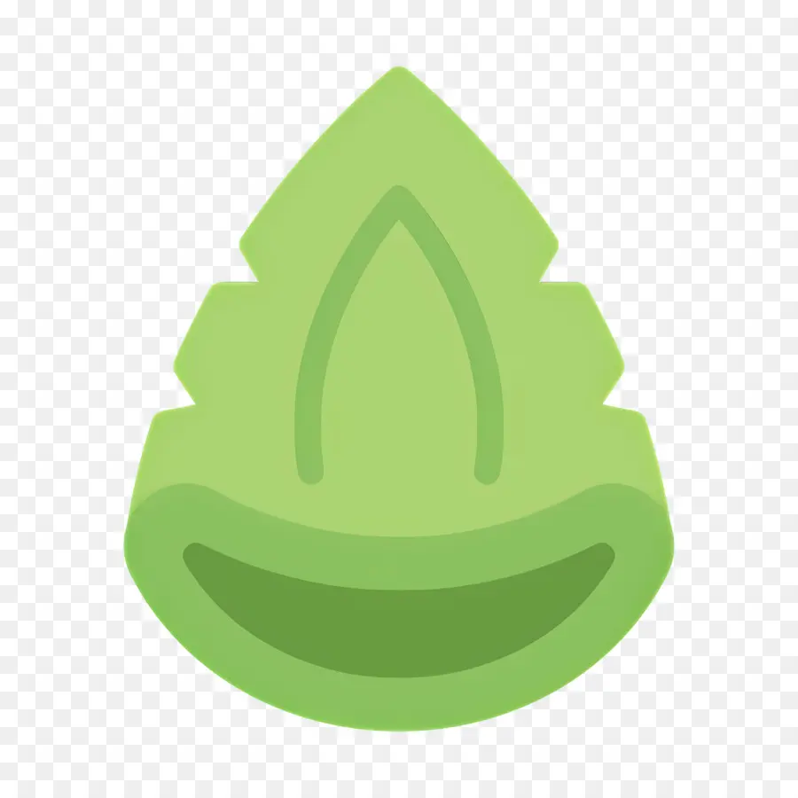 Aloe Vera，Folha PNG