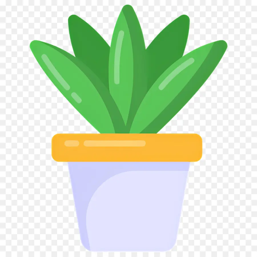 Aloe Vera，Planta Verde PNG