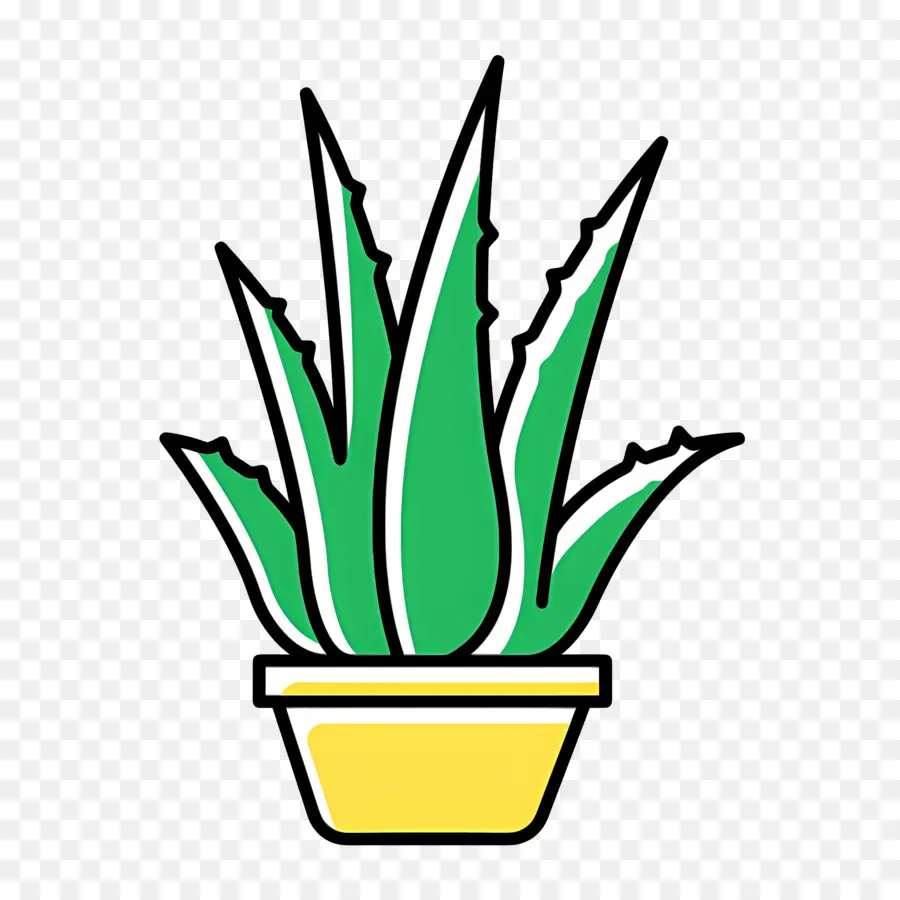 Aloe Vera，Aloe Vera Em Vaso PNG