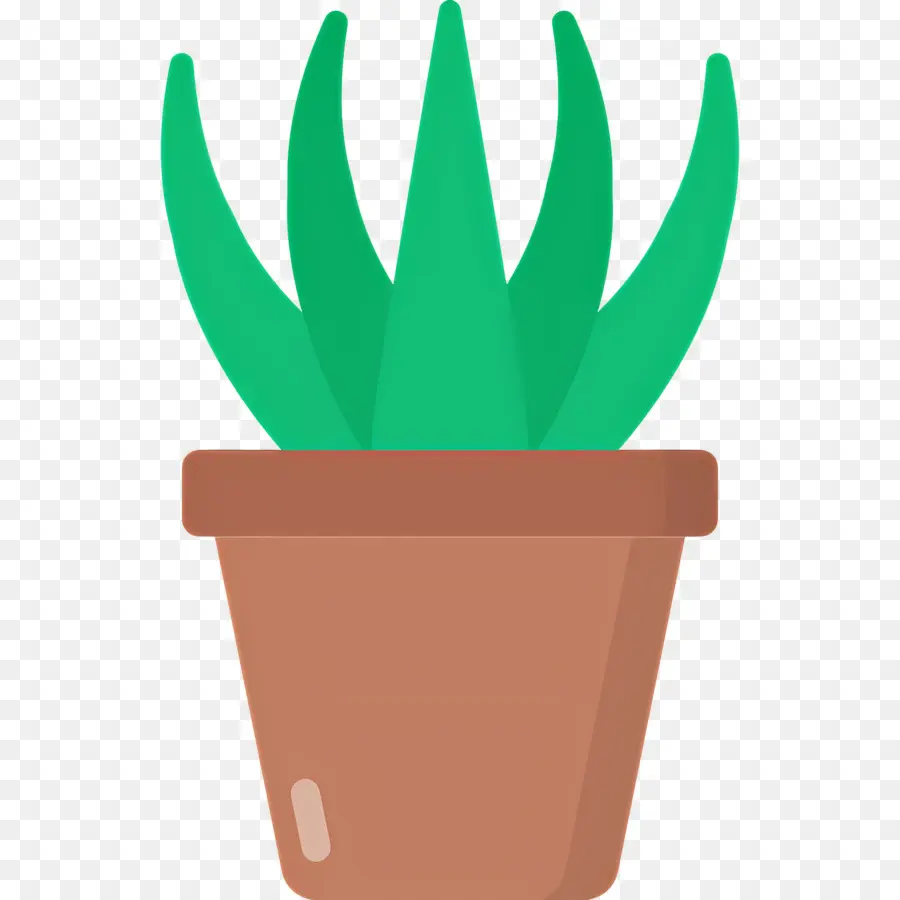 Aloe Vera，Aloe Vera Em Vaso PNG