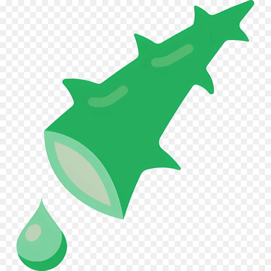 Aloe Vera，Folha PNG