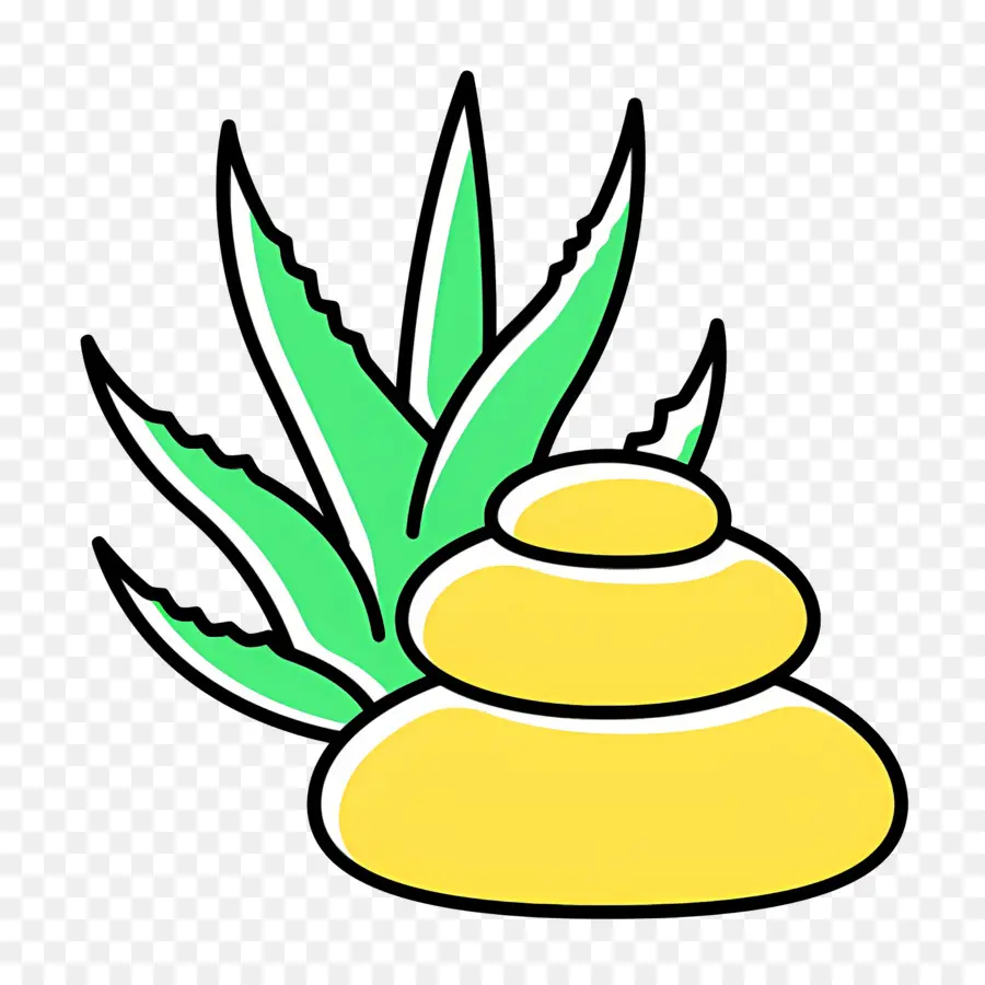 Aloe Vera，Creme De Aloe Vera PNG