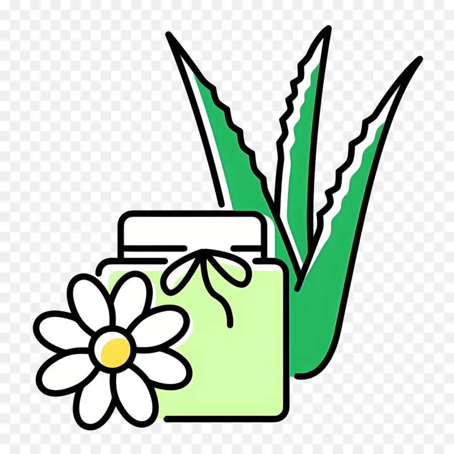 Aloe Vera，Folha PNG