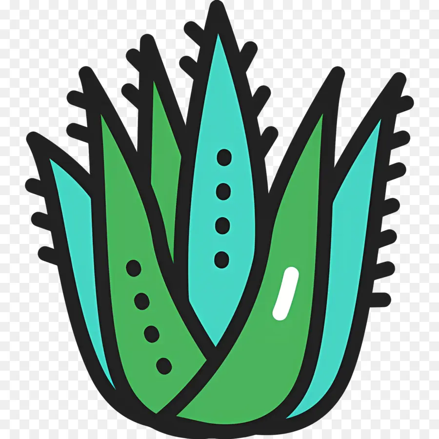 Aloe Vera，Planta De Babosa PNG