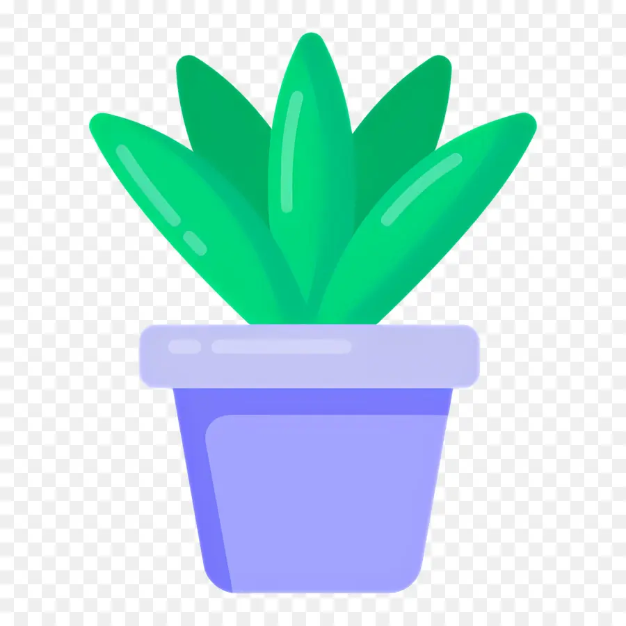 Aloe Vera，Planta Verde PNG