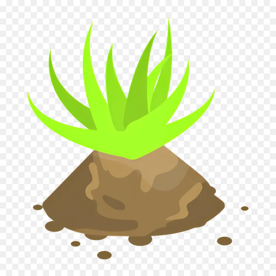 Aloe Vera，Planta Verde PNG