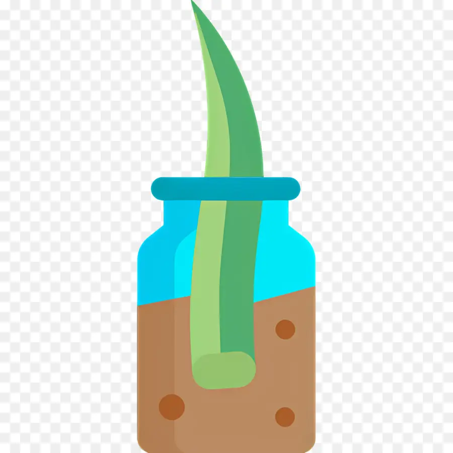 Aloe Vera，Aloe Em Jarra PNG