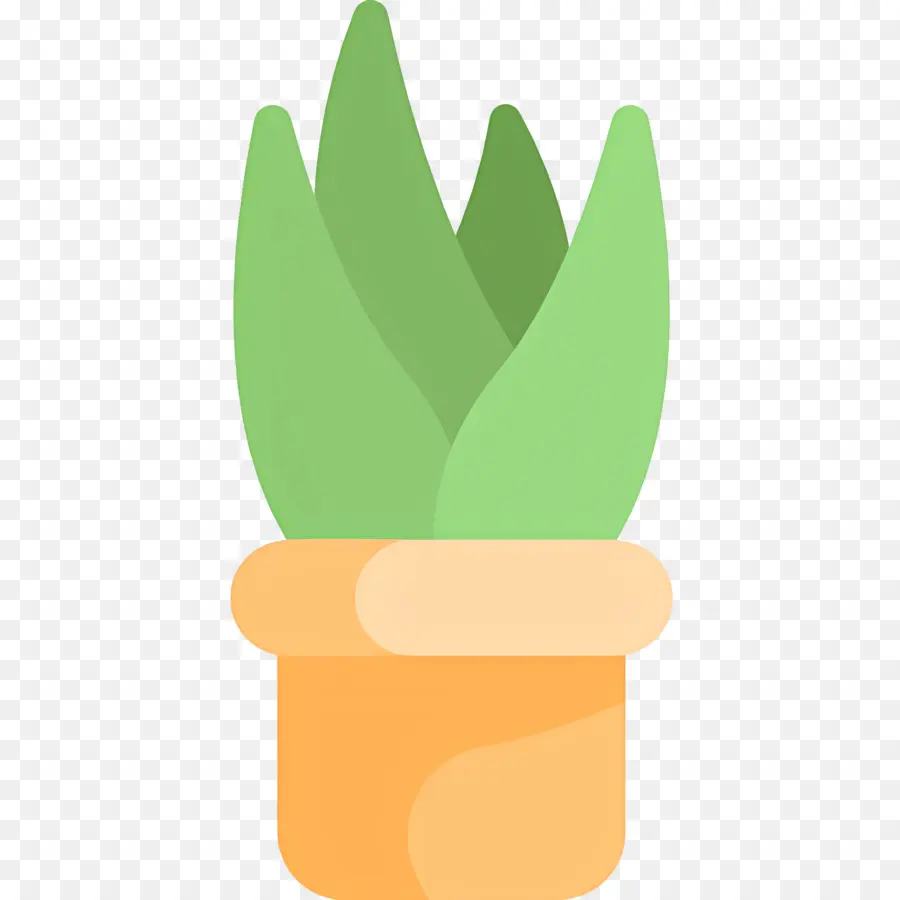 Aloe Vera，Planta Verde PNG