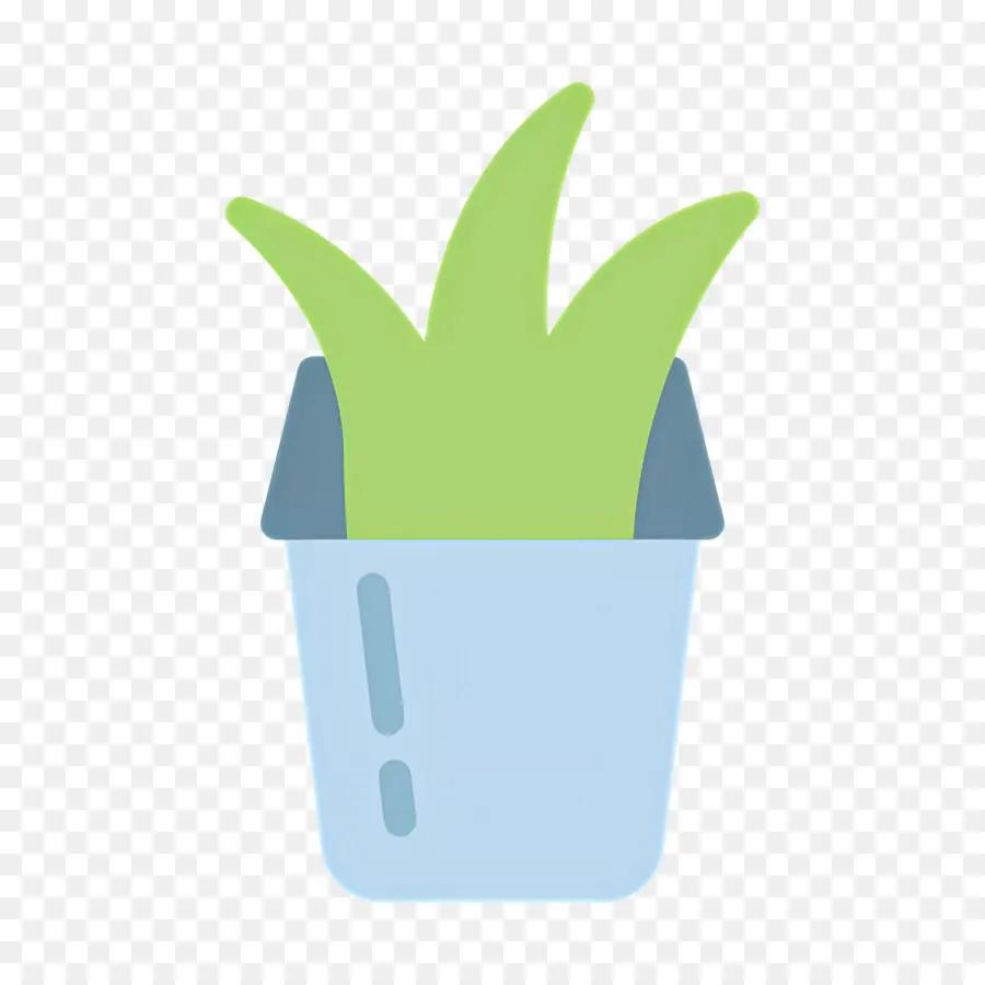 Aloe Vera，Babosa Em Panela PNG