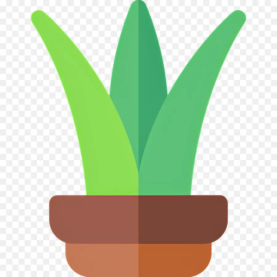 Aloe Vera，Aloe Vera Em Vaso PNG