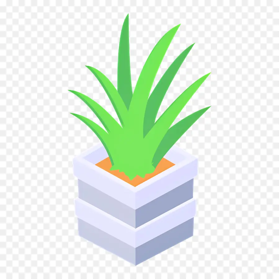 Aloe Vera，Planta Em Vaso PNG