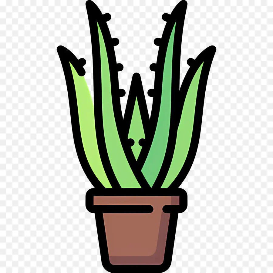 Aloe Vera，Aloe Vera Em Vaso PNG