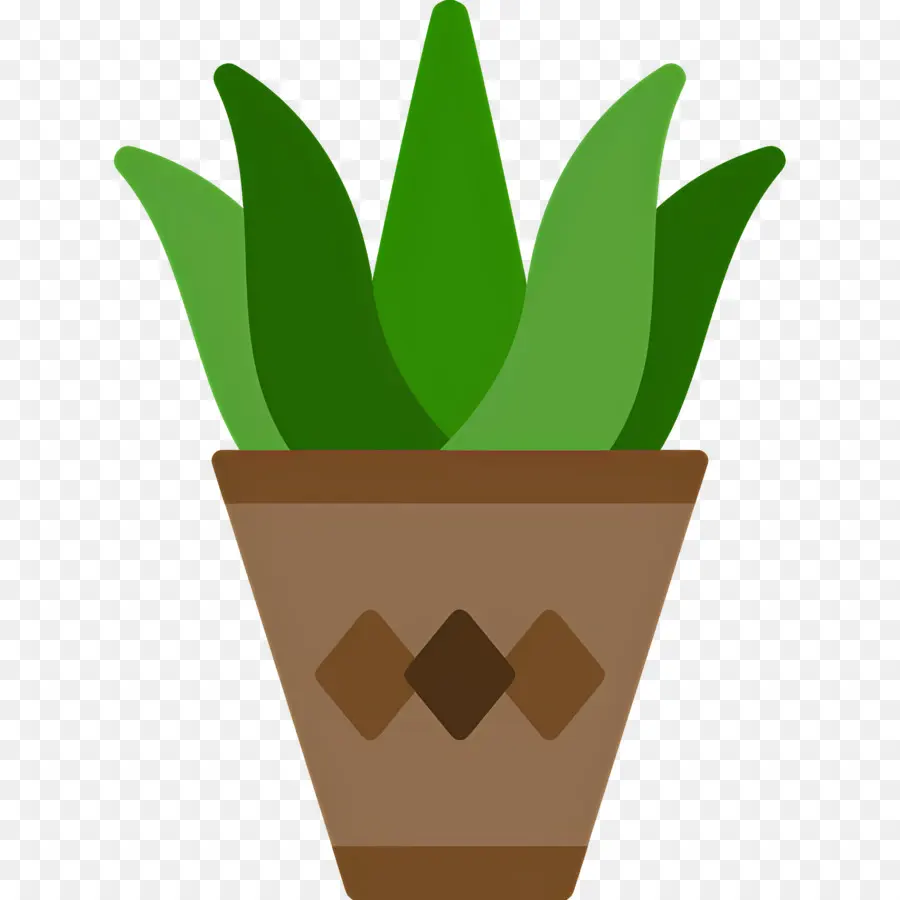 Aloe Vera，Planta Em Vaso PNG