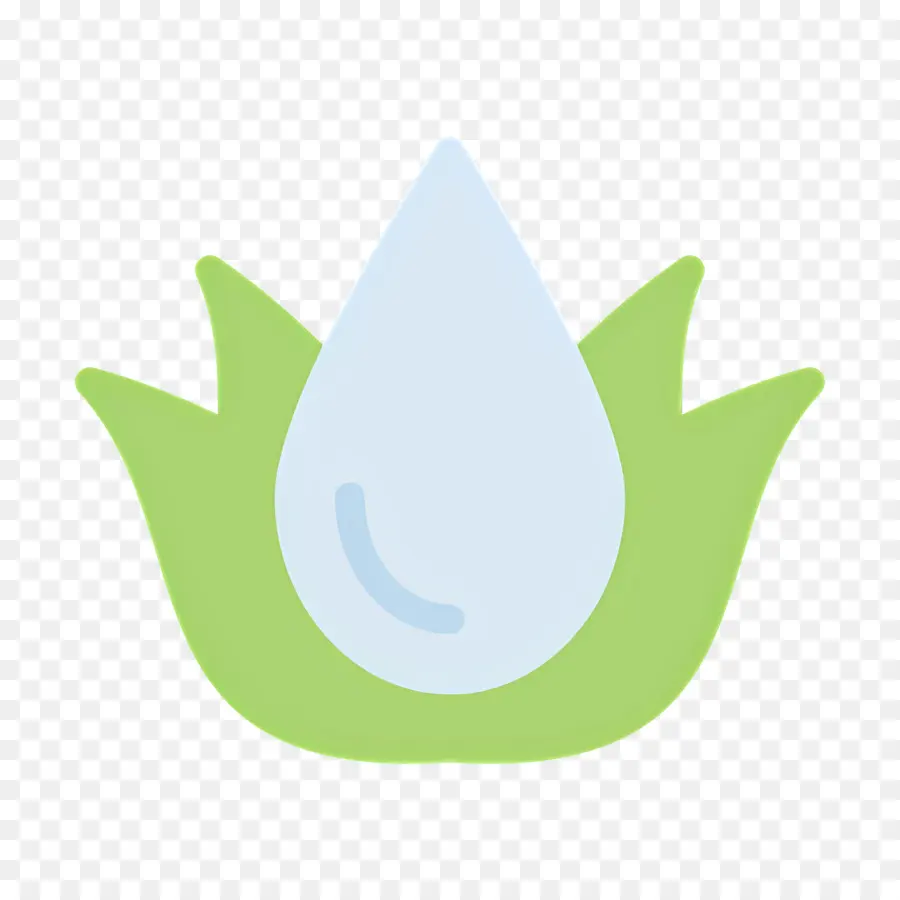 Aloe Vera，Gota D'água PNG