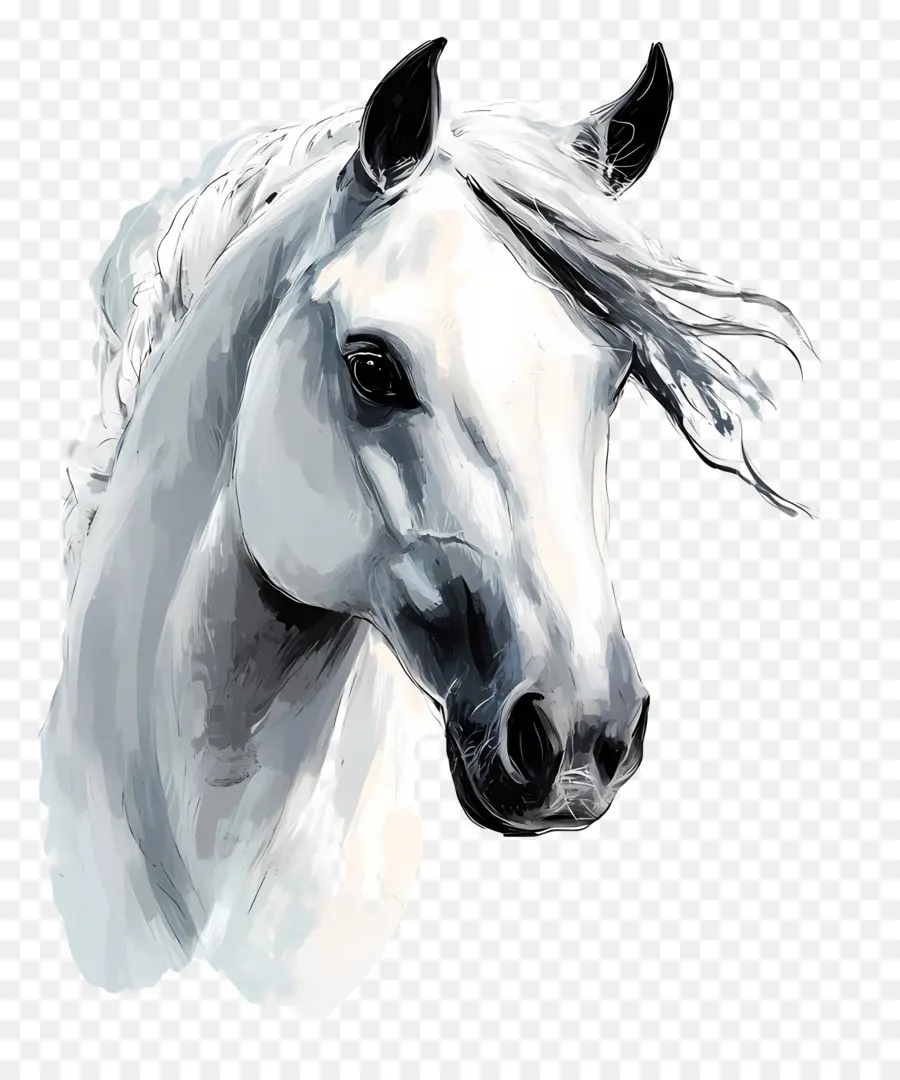 Vaqueiro，Cavalo PNG