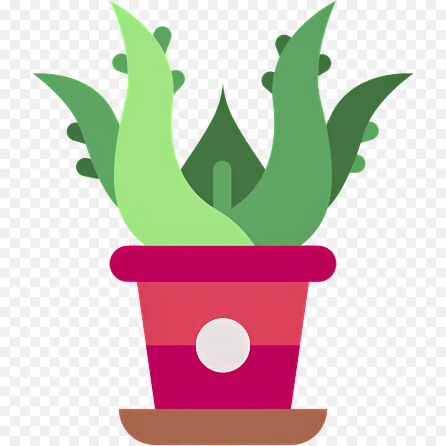 Aloe Vera，Planta Em Vaso PNG