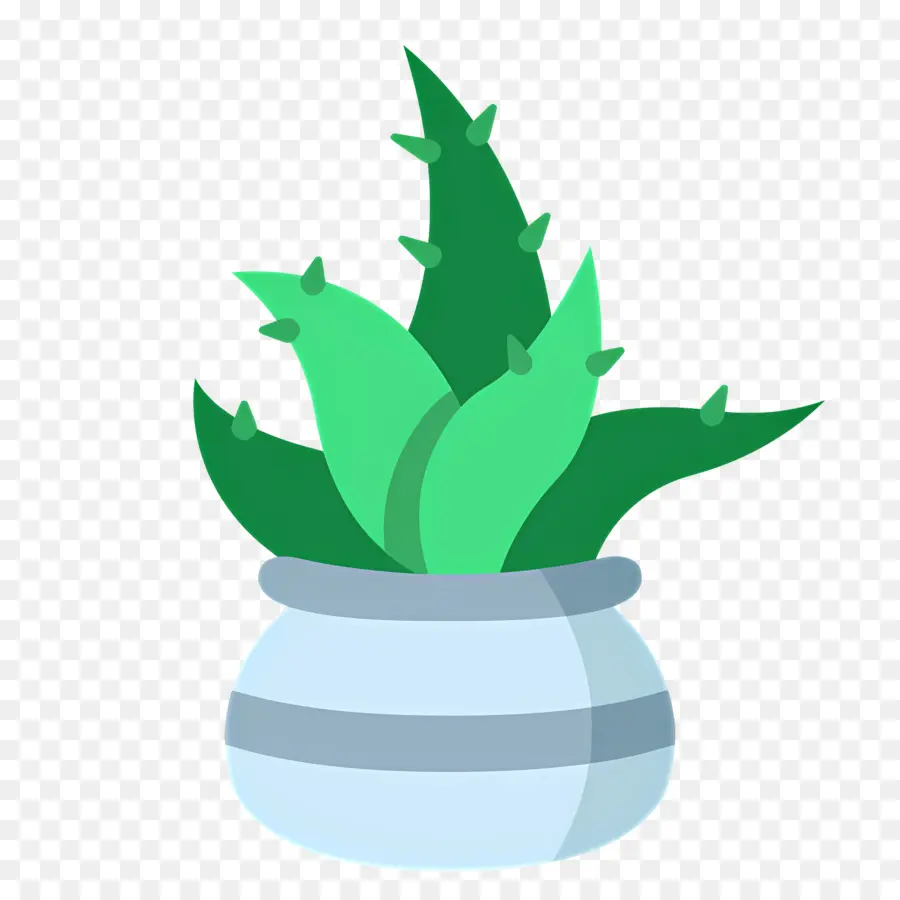 Aloe Vera，Planta Em Vaso PNG