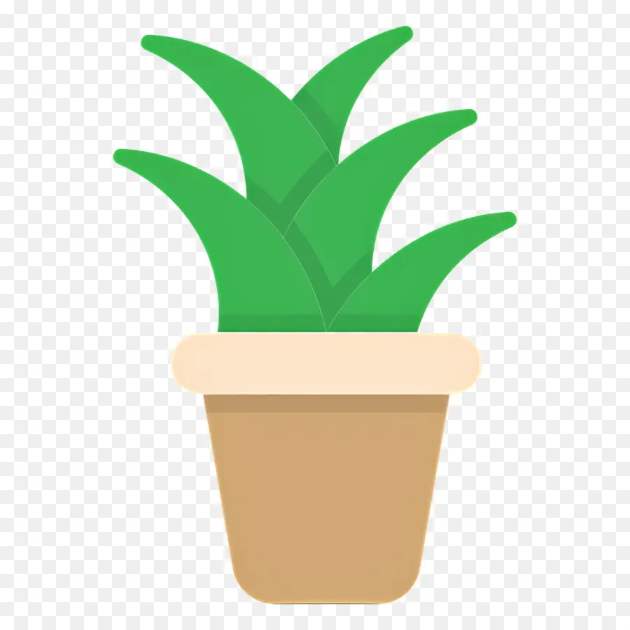 Aloe Vera，Planta Verde PNG