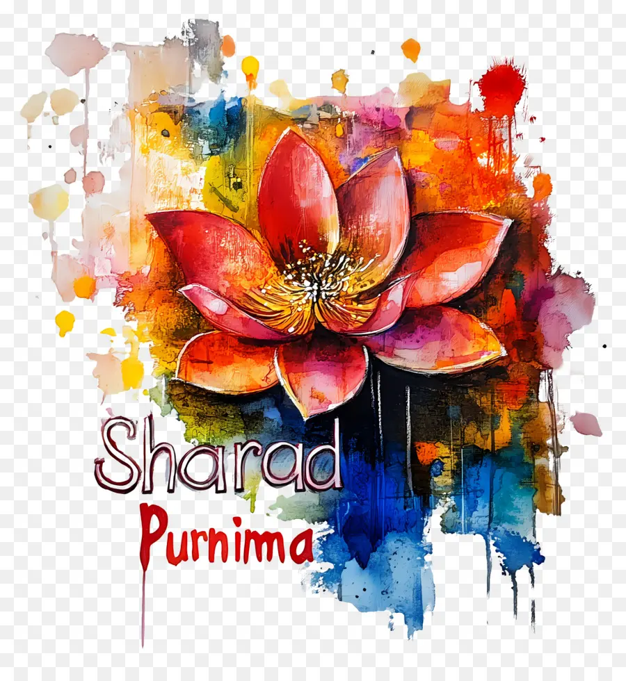 Sharad Purnima，Lótus Colorido PNG