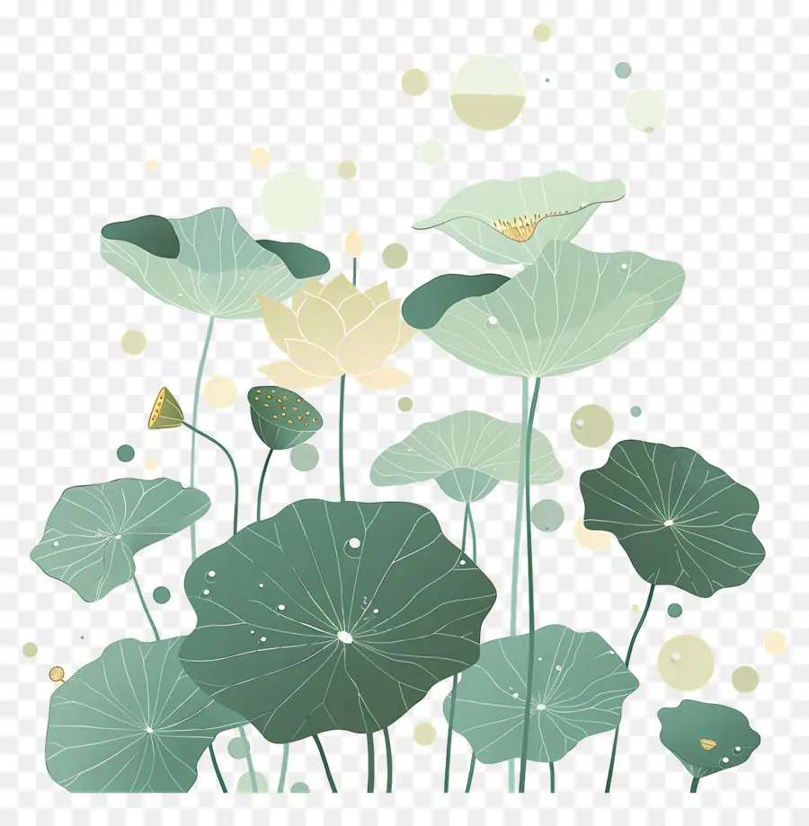 Folhas De Lótus，Folhas E Flores De Lótus PNG