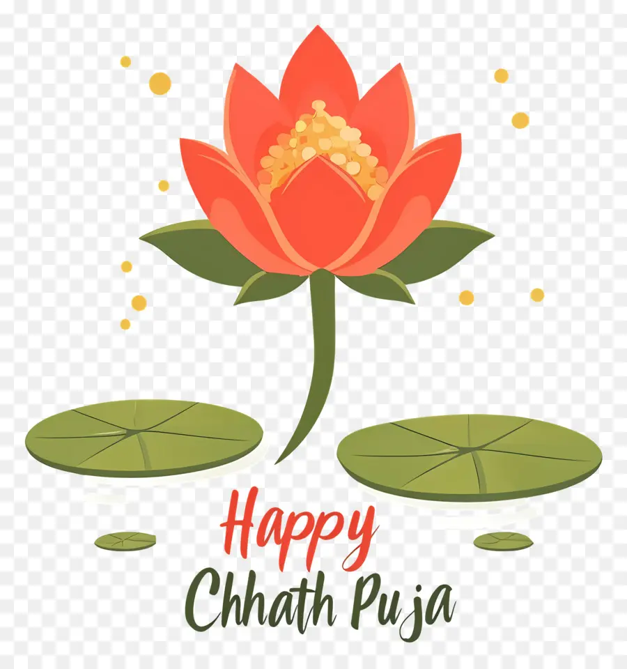 Feliz Chhath Puja，Flor De Lótus PNG