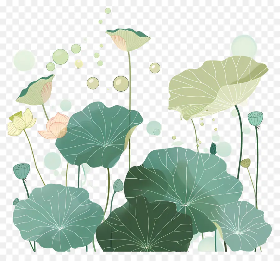 Folhas De Lótus，Folhas E Flores De Lótus PNG