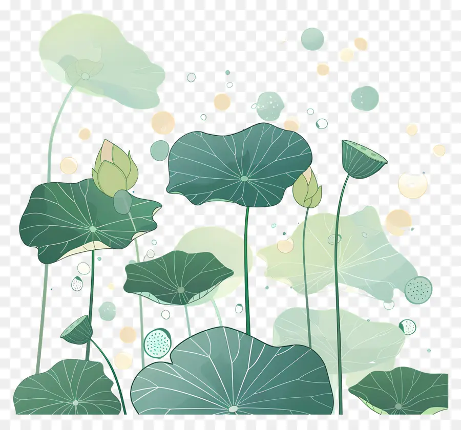 Folhas De Lótus，Folhas E Flores De Lótus PNG