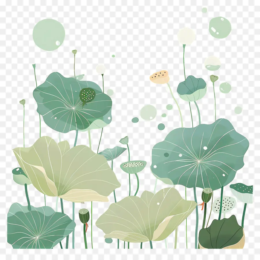 Folhas De Lótus，Folhas E Flores De Lótus PNG