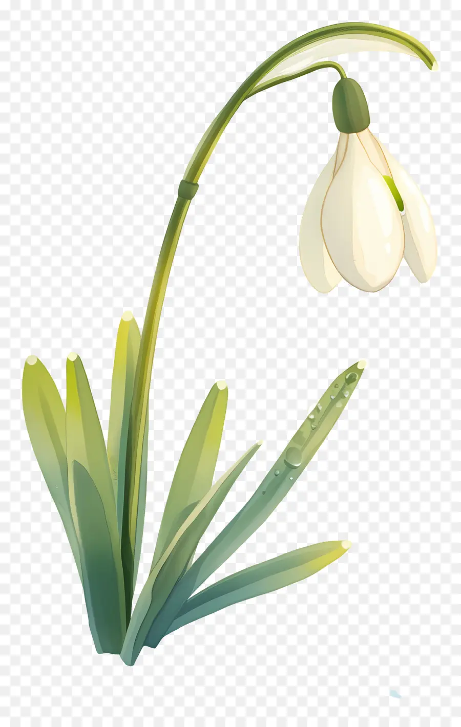 Flor Floco De Neve，Floco De Neve Branco PNG