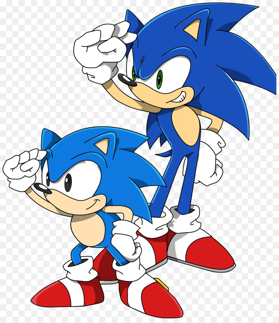 Sonic O Ouriço，Personagem Ouriço PNG