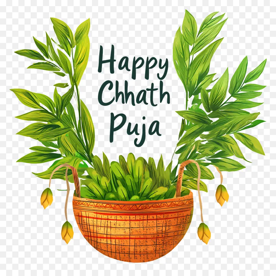 Feliz Chhath Puja，Cesta Com Folhas PNG