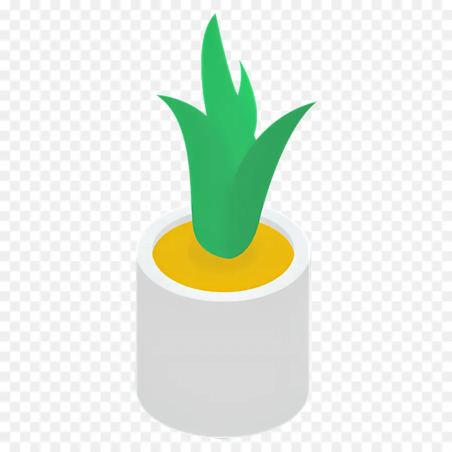 Aloe Vera，Planta Em Vaso PNG