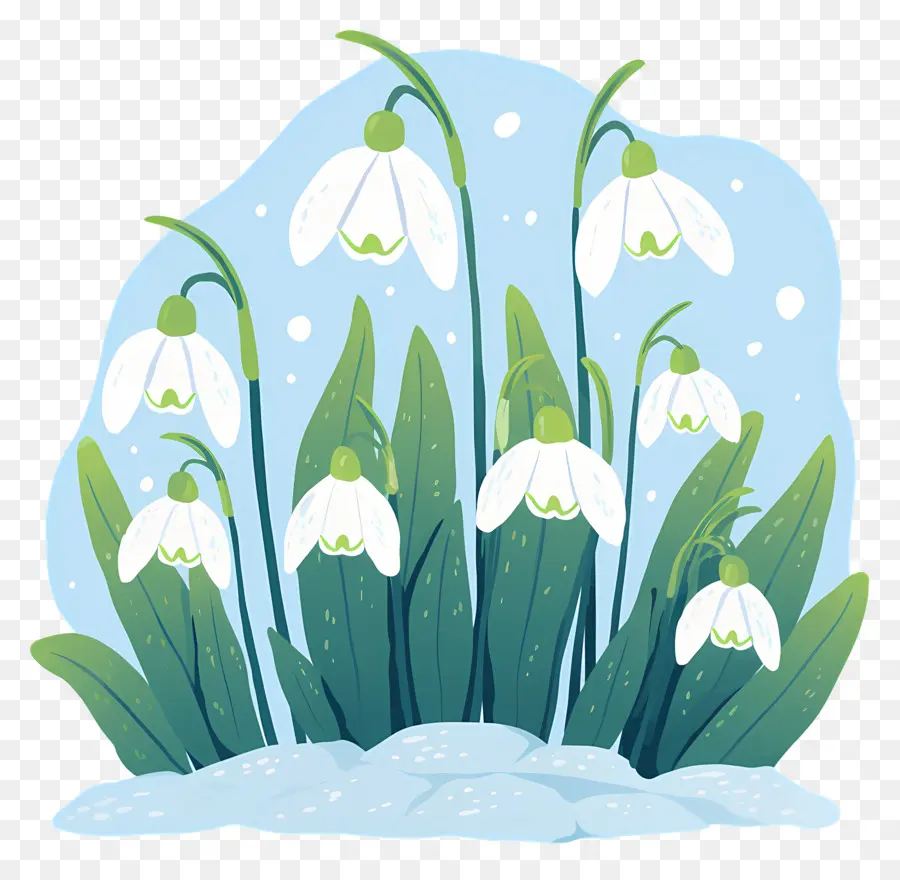 Snowdrops Na Neve，Gotas De Neve PNG