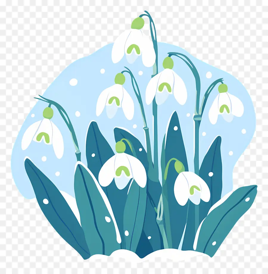 Snowdrops Na Neve，Gotas De Neve PNG