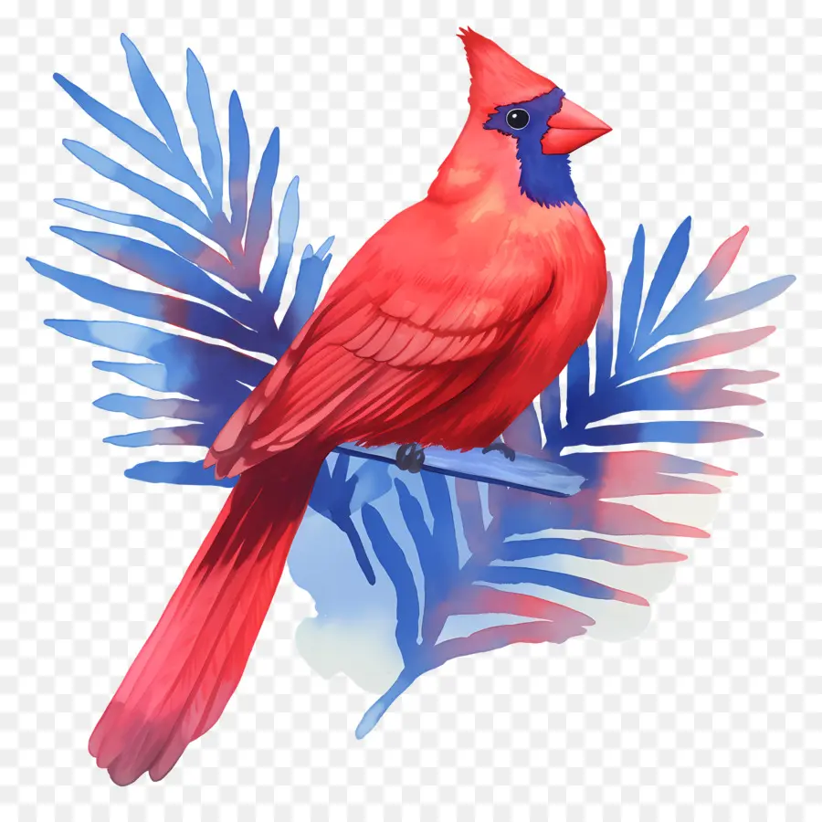 Pássaro De Inverno，Cardeal Vermelho PNG